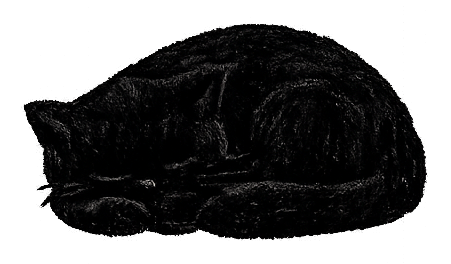 物語のそばにいる黒猫
