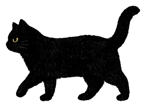 物語のそばにいる黒猫